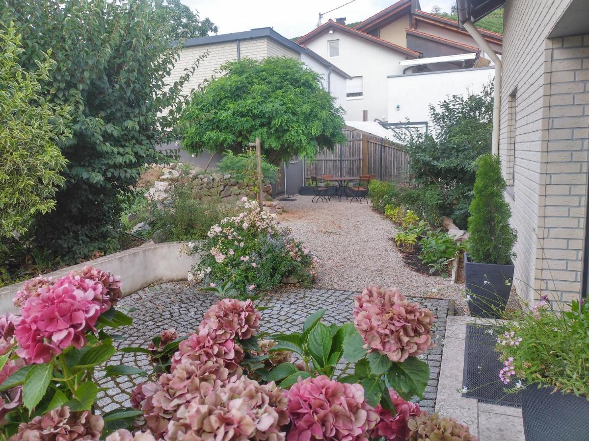 By Vollmer'S Komfortabel Und Chic Apartment Offenburg Exterior foto